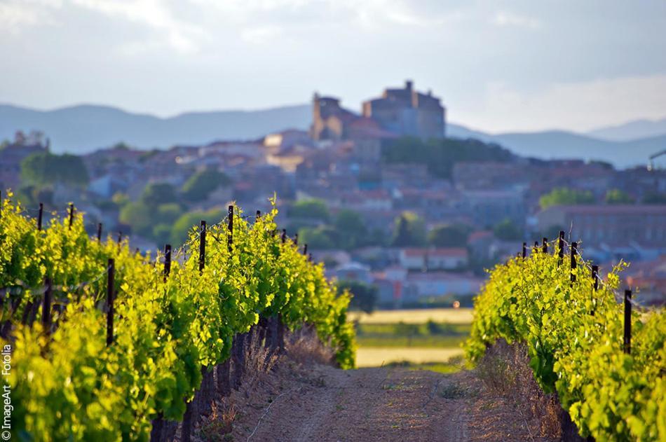 Charmante Maison Au Coeur Du Medoc Cussac-Fort-Medoc Εξωτερικό φωτογραφία